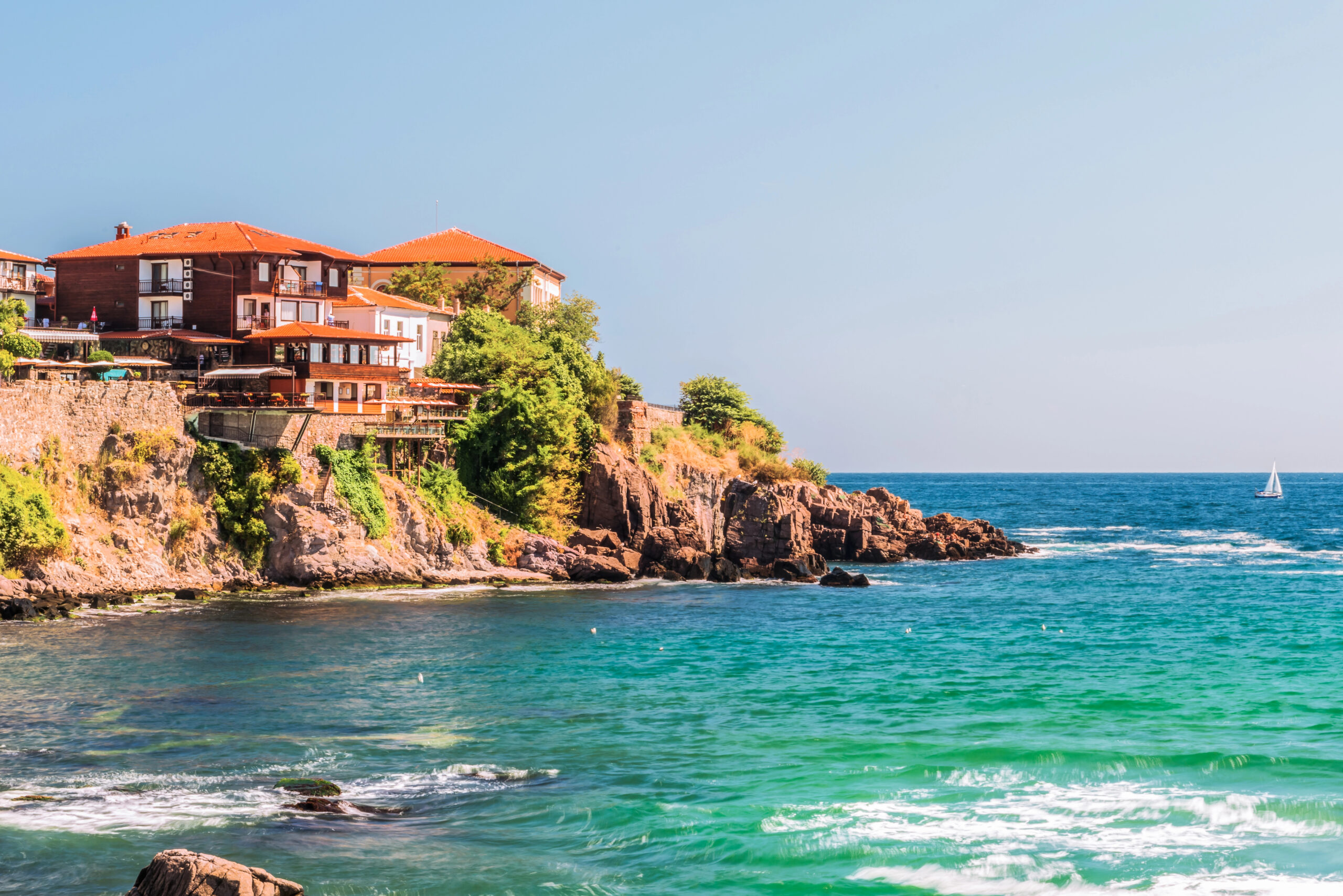 Delfíni v Černém moři