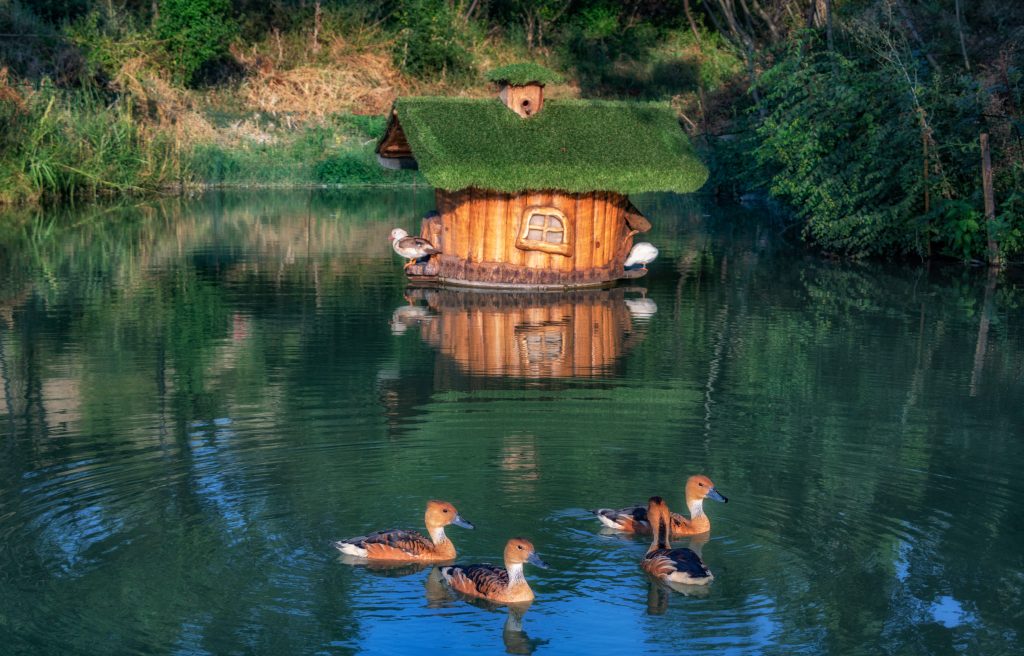 Apartmán v Bulharsku